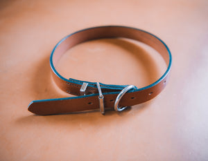 Dog Collars