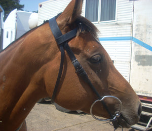 Salisbury Gag Bridle